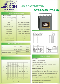 Аккумуляторная батарея Leoch DT876 8v 145ah